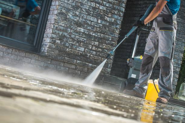 Best Roof Cleaning and Mildew Removal in Southern Shores, NC